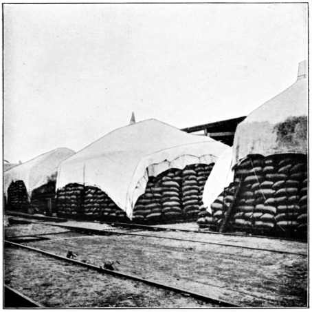 Wheat ready for Loading at Station on Central Argentine Railway.