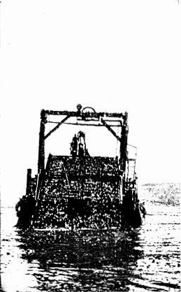 THE KELP HARVESTER GATHERING THE SEAWEED FROM THE PACIFIC OCEAN