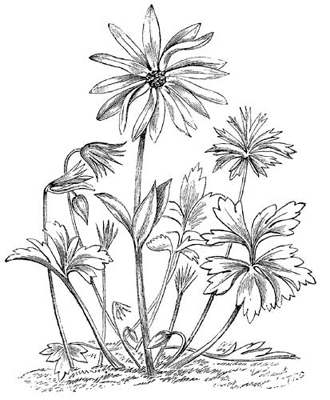 Fig. 9.