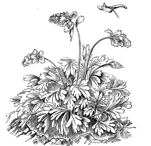 Fig. 30.