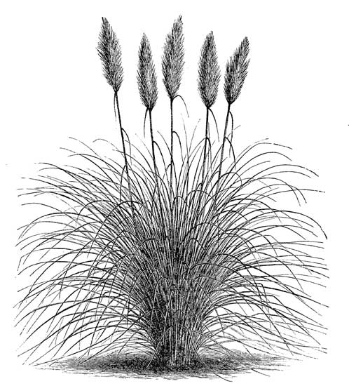 Fig. 46.