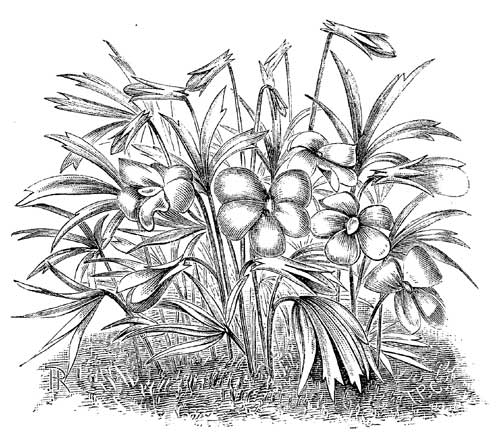 Fig. 110.