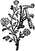 A A