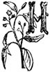 H H