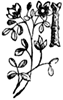 I I