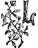 L L