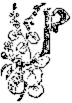 P P