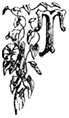 T T