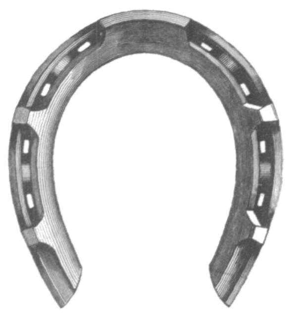 GOODENOUGH SHOE—FRONT.