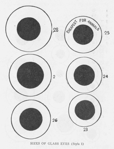 SIZES OF GLASS EYES (Style 1)