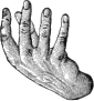 see text