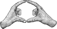 see text