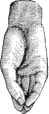 see text