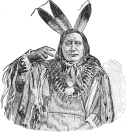 see text
