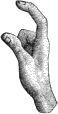 see text