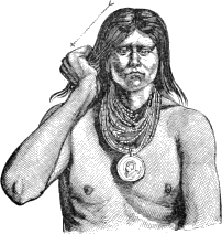 see text
