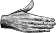 see text