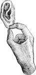 see text