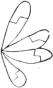 see text