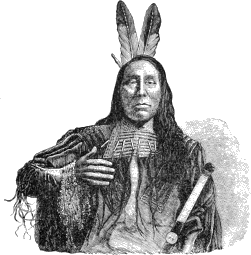 see text