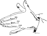 see text