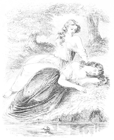 Et je vous contemplai avec une singulière curiosité. (page 47.)